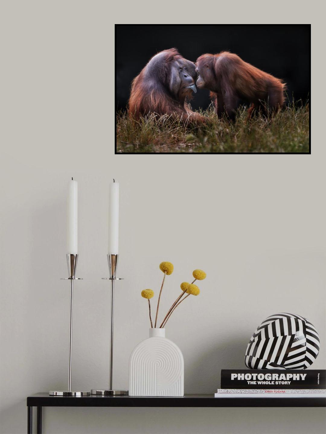 Apes for Mates Poster och Canvastavla