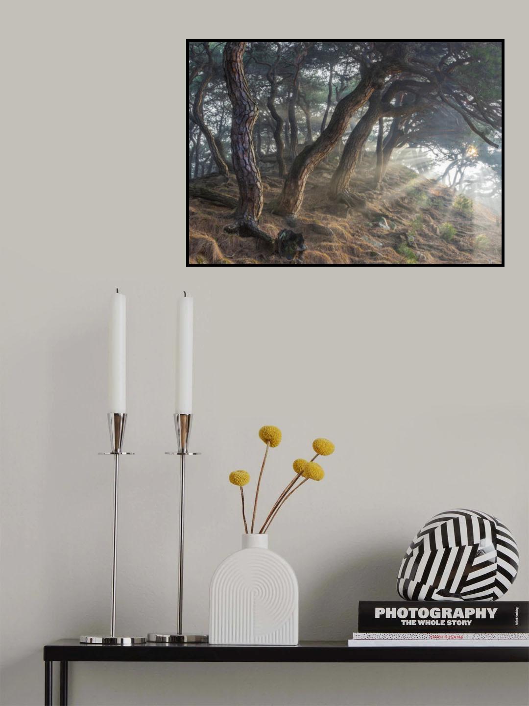 Holy light Poster och Canvastavla