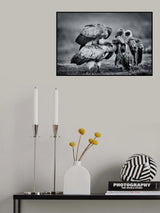 Poster och Canvastavla
