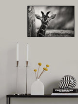 look forward Poster och Canvastavla