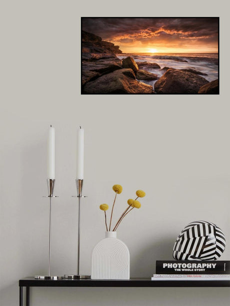 Cape Solander Poster och Canvastavla