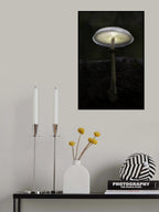 Porcelain Fungus Poster och Canvastavla