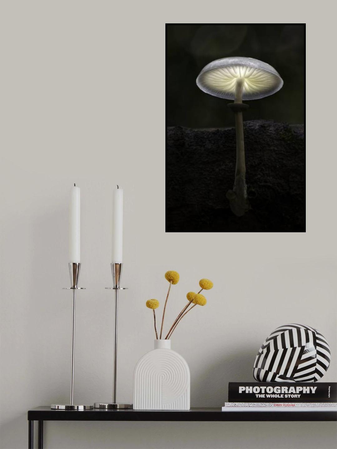 Porcelain Fungus Poster och Canvastavla