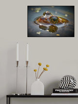 Moor frog watching you Poster och Canvastavla
