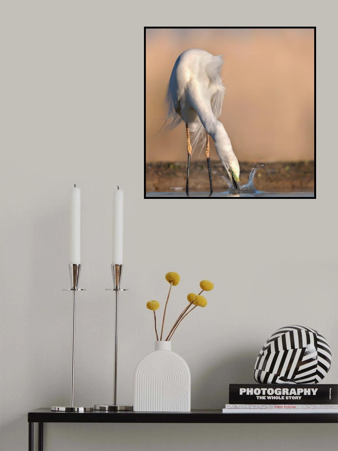 Searching Poster och Canvastavla