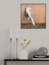 Searching Poster och Canvastavla