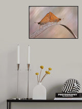Mating Poster och Canvastavla