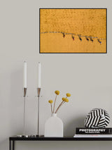 Drying rice in the sun Poster och Canvastavla