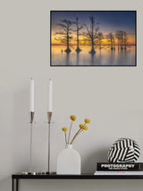 Misty Morning Poster och Canvastavla