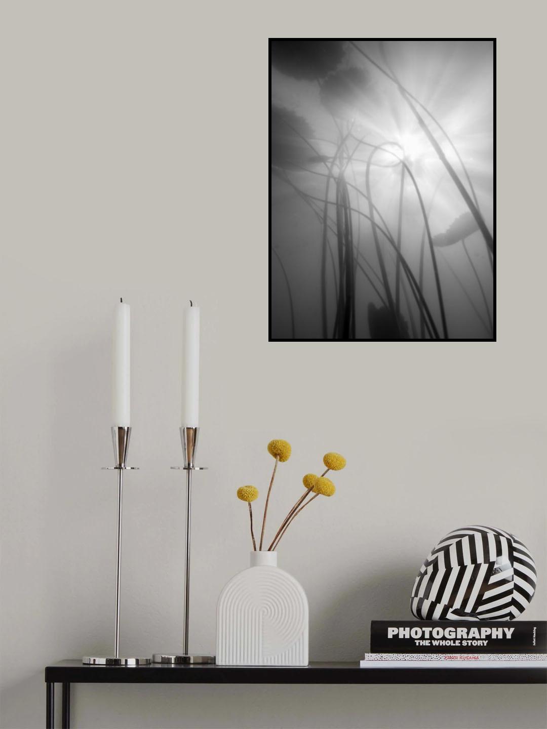 Water Lilly 04 Poster och Canvastavla