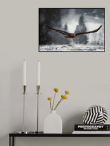 Eagle in winter time Poster och Canvastavla