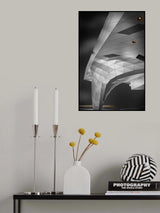 Musée des Confluences Poster och Canvastavla