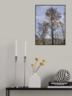 burnt trees and sky background Poster och Canvastavla