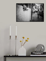 Dog's life Poster och Canvastavla