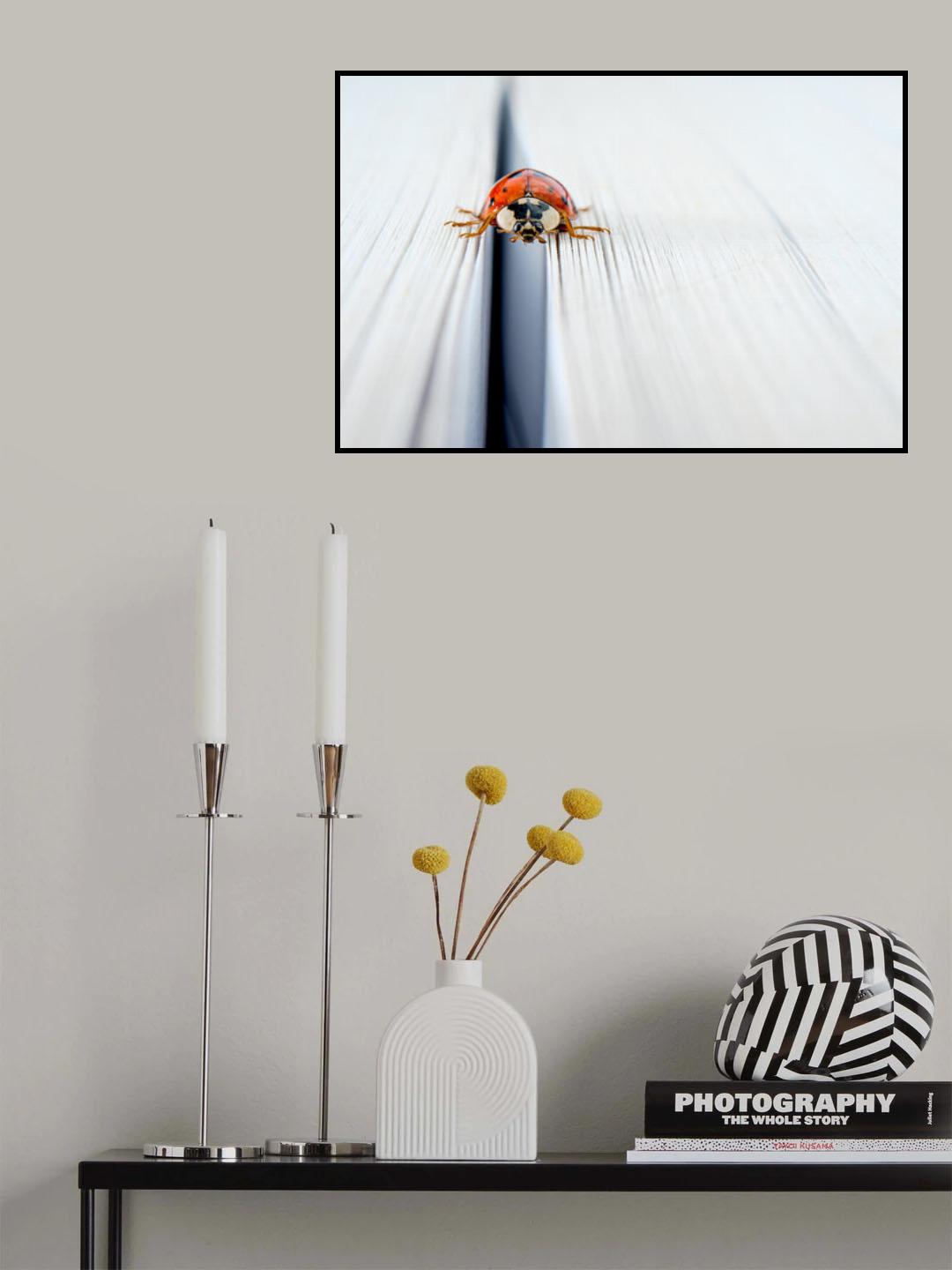 18 Poster och Canvastavla