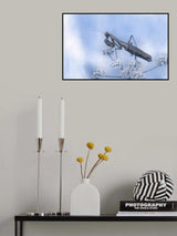 Prayers to sky... Poster och Canvastavla