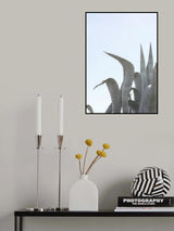 Charming Agave Poster och Canvastavla