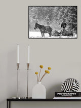 Poster och Canvastavla