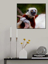 Sifaka: Cry in the Wild Poster och Canvastavla