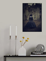 The secrets of the old castle Poster och Canvastavla