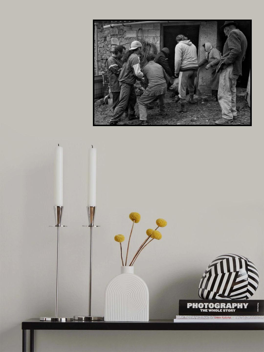 Last vain resistance / Pig killing series Poster och Canvastavla