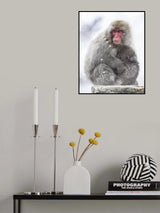 Secure Place Poster och Canvastavla