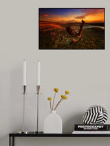 Bloody sunset Poster och Canvastavla