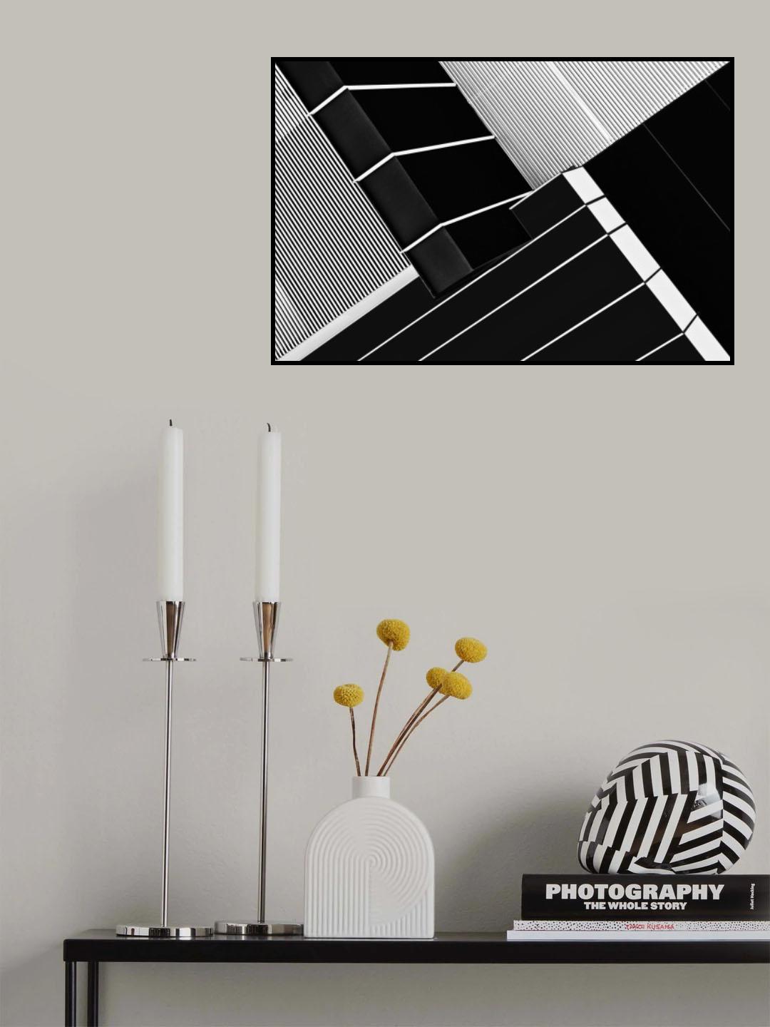 Fragile Symmetry Poster och Canvastavla