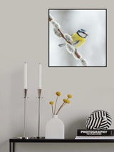 So sweet! Poster och Canvastavla