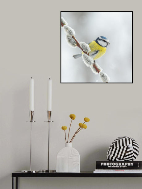 So sweet! Poster och Canvastavla