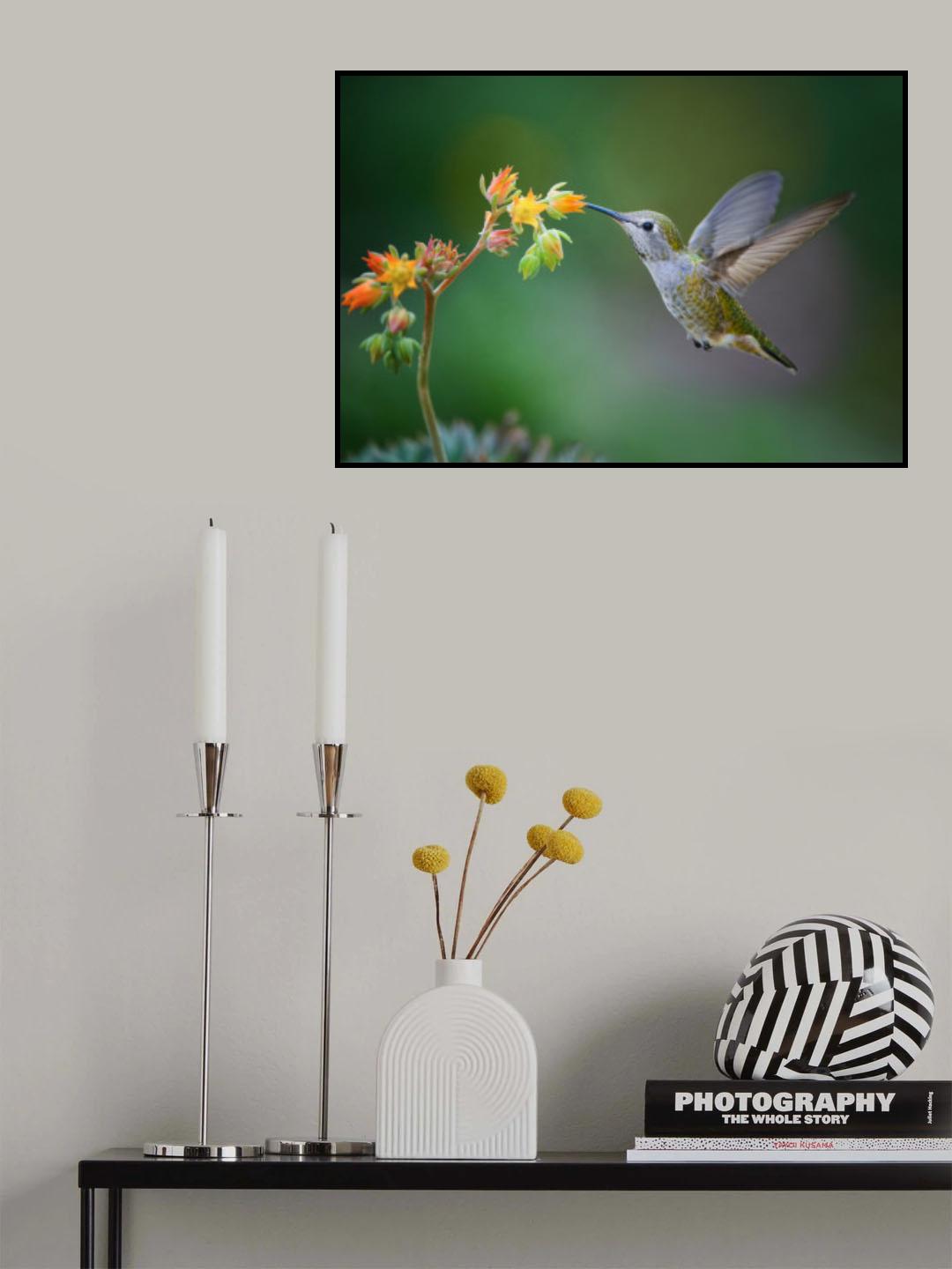 A Flower Lover Poster och Canvastavla
