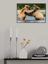 Games of youth Poster och Canvastavla
