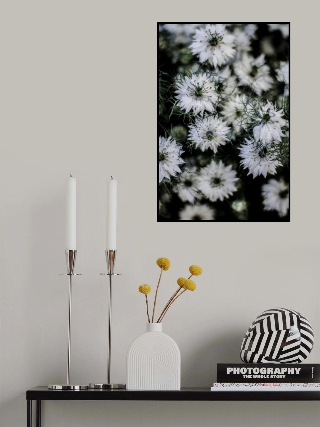 Wild Daisey Poster och Canvastavla