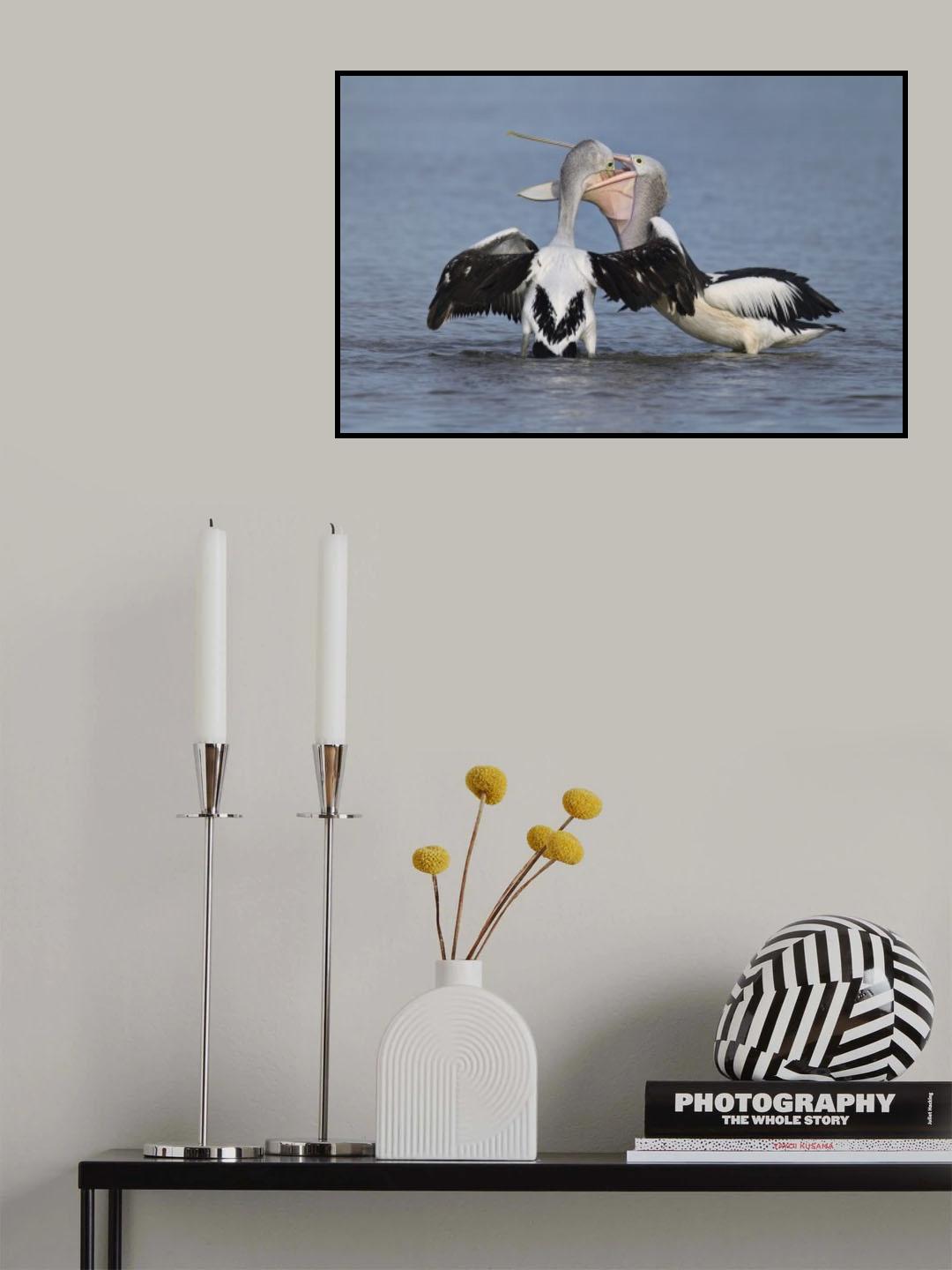 Feeding Poster och Canvastavla