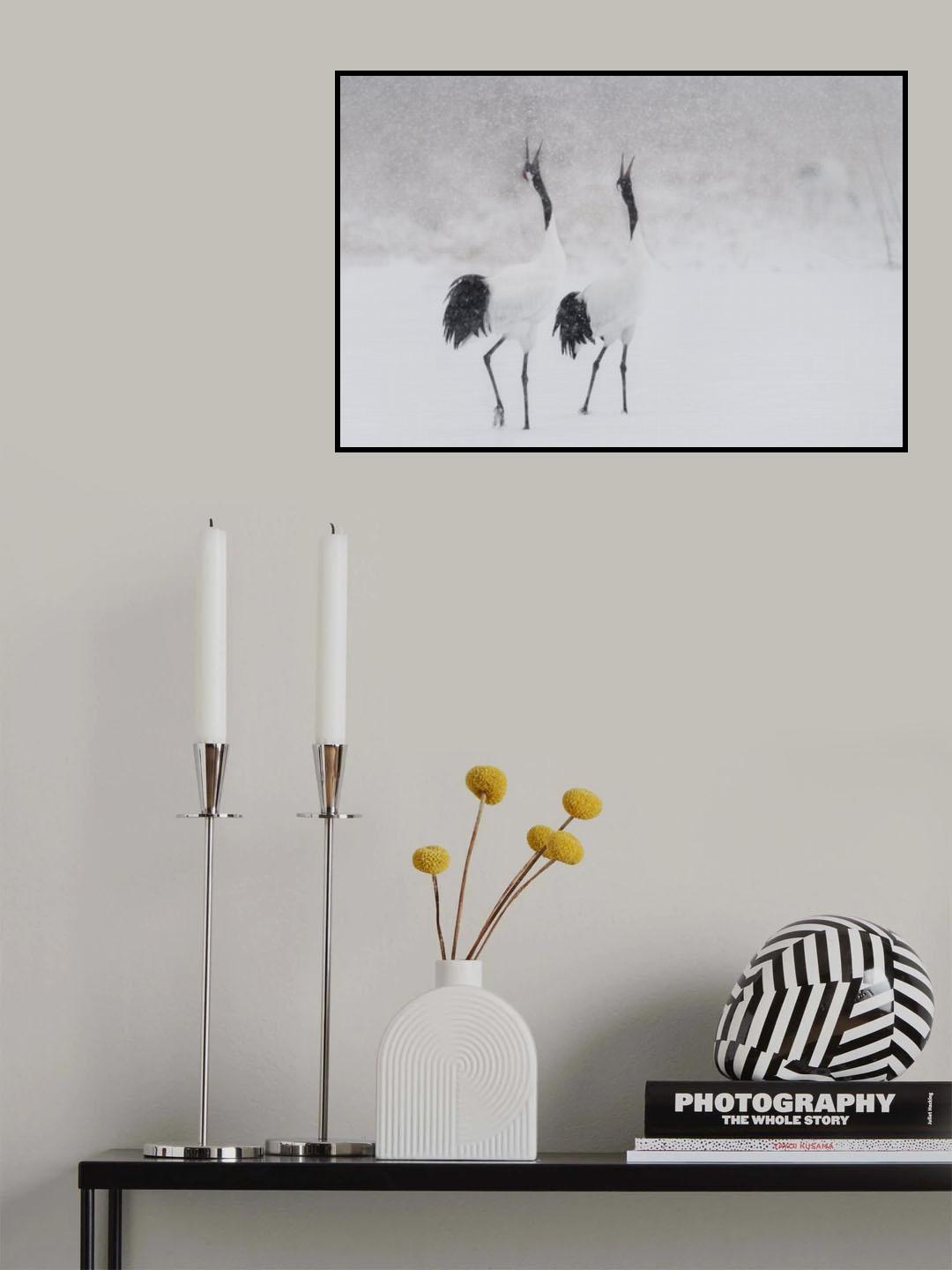 Japanes Cranes Poster och Canvastavla