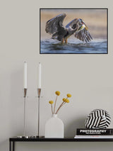 Morning catch Poster och Canvastavla