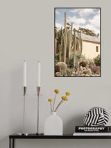Karoo Garden 02 Poster och Canvastavla