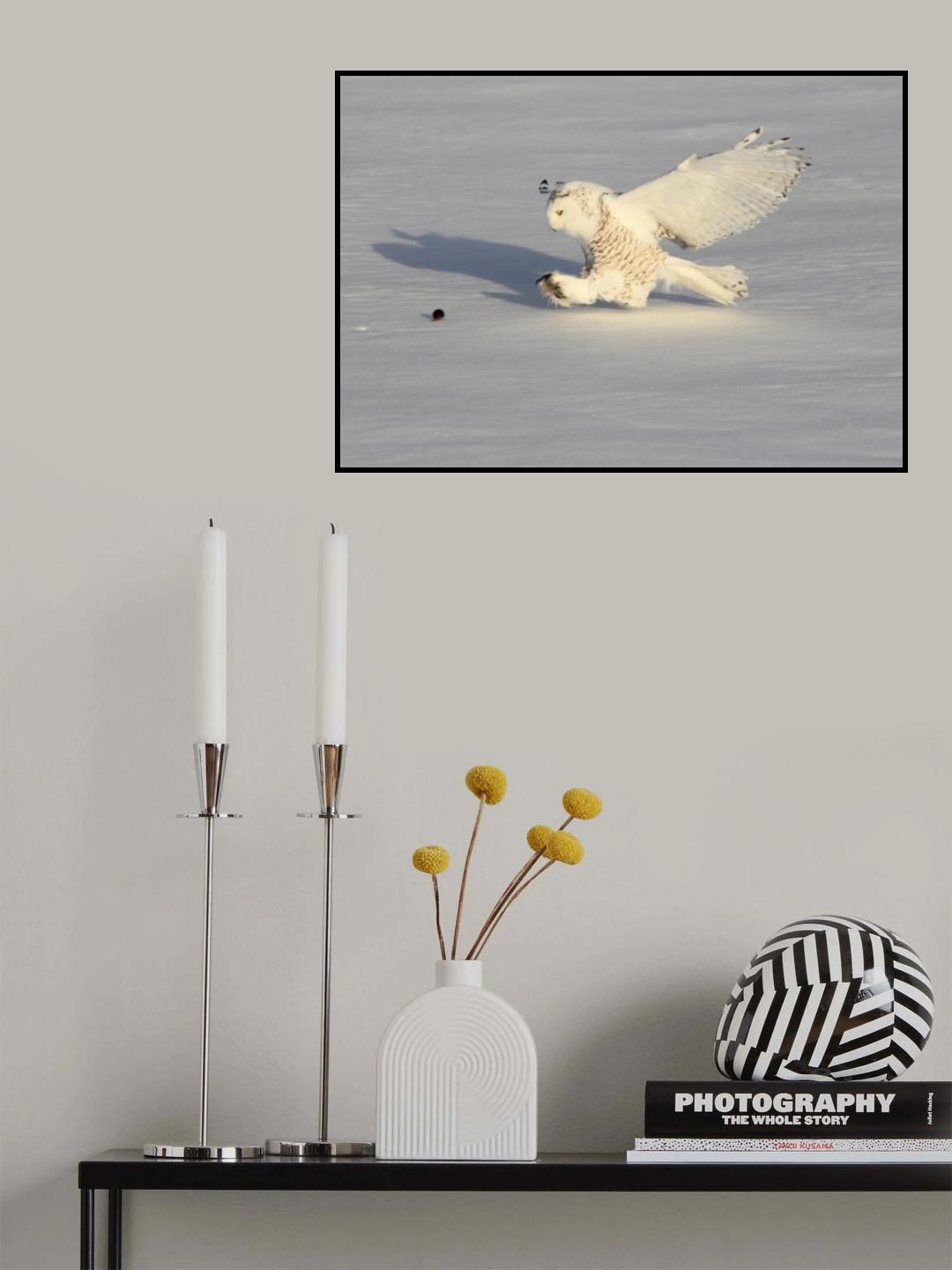 Snowy Owl and a Mouse Poster och Canvastavla