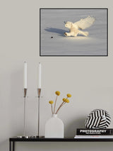Snowy Owl and a Mouse Poster och Canvastavla