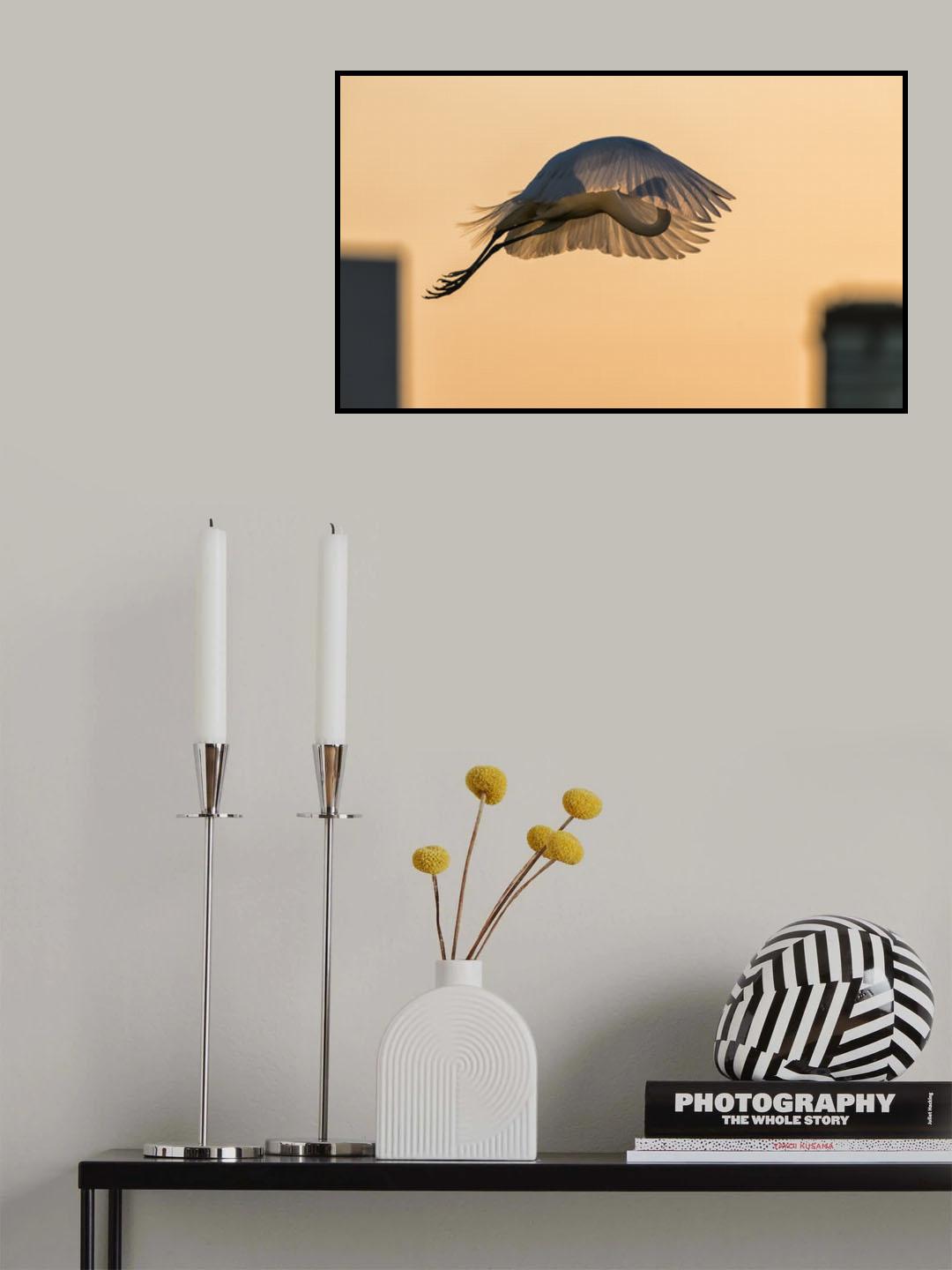 Jumping with a Golden Parachute Poster och Canvastavla