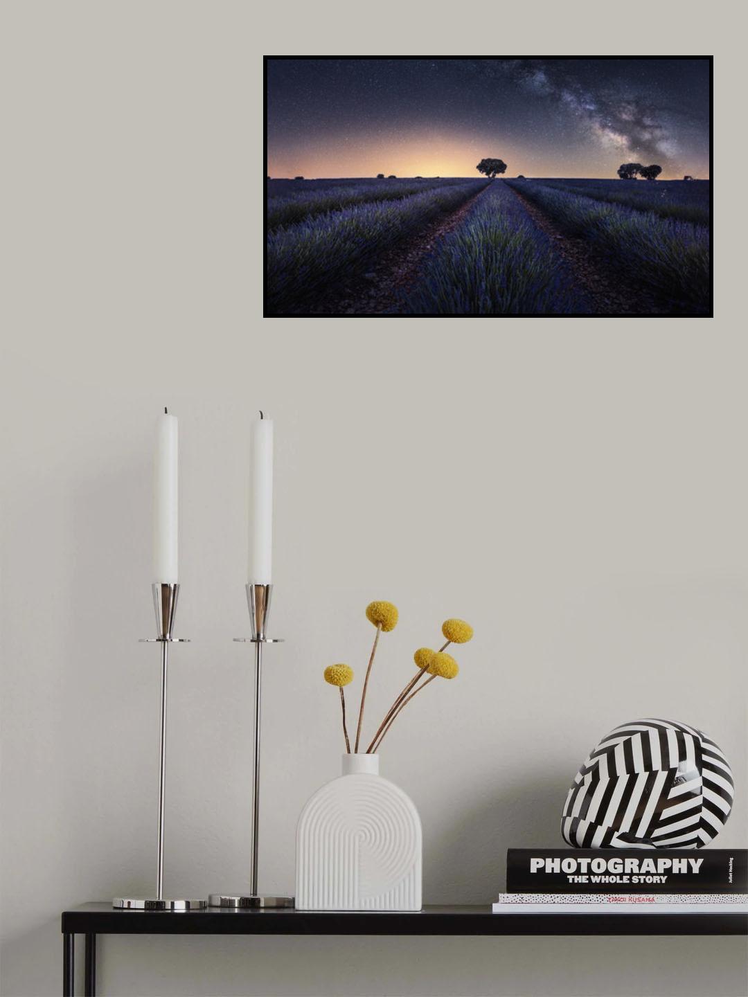 Lavender fields Poster och Canvastavla