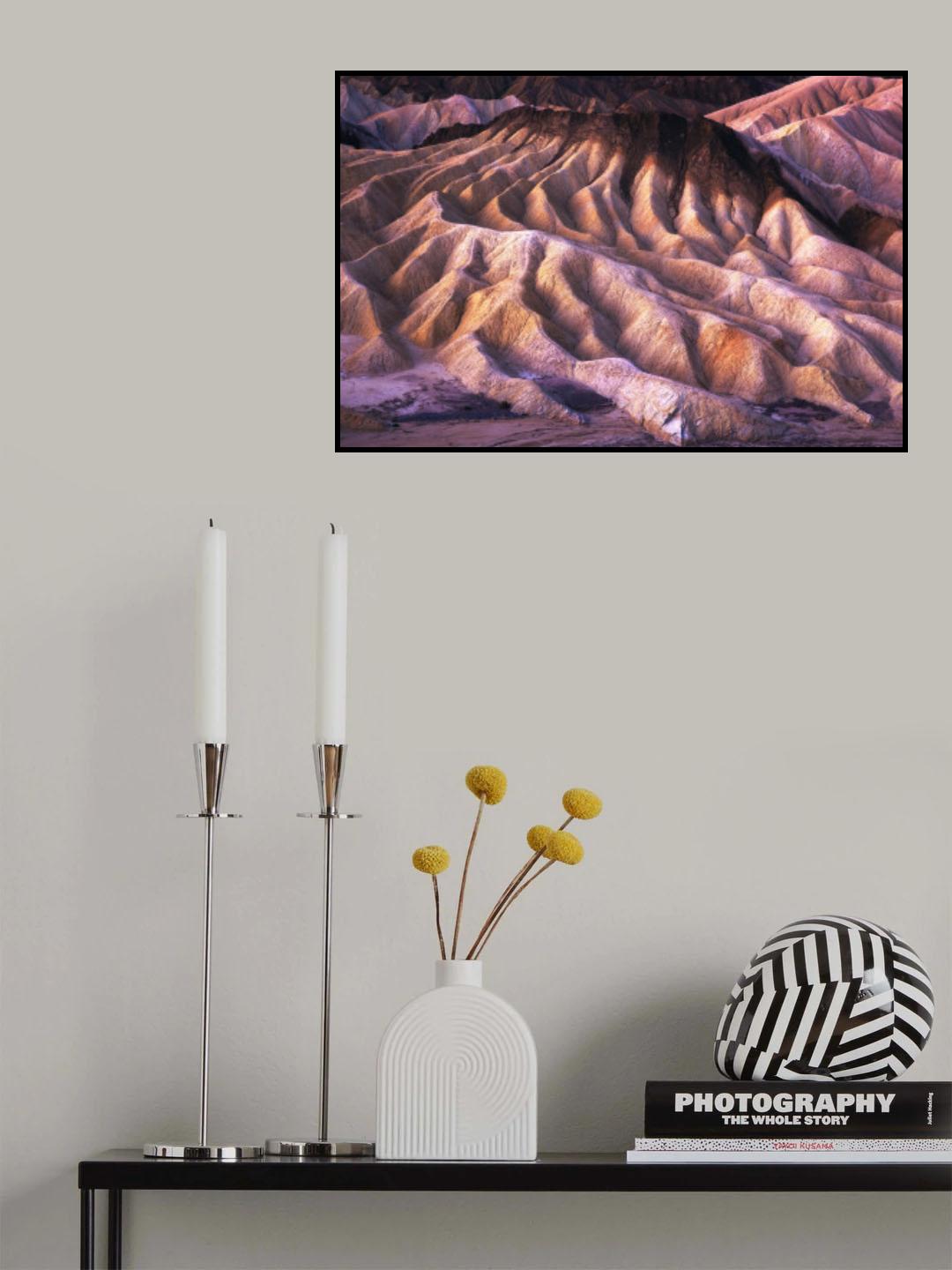 Nature's Artwork Poster och Canvastavla