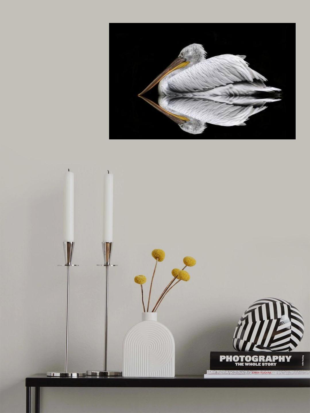 Mirrored the Pelican Poster och Canvastavla