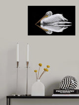 Mirrored the Pelican Poster och Canvastavla
