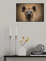 Eye Contact Poster och Canvastavla