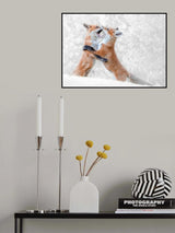 Red Fox Kits playing Poster och Canvastavla