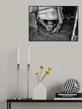 Crisis of Life Poster och Canvastavla