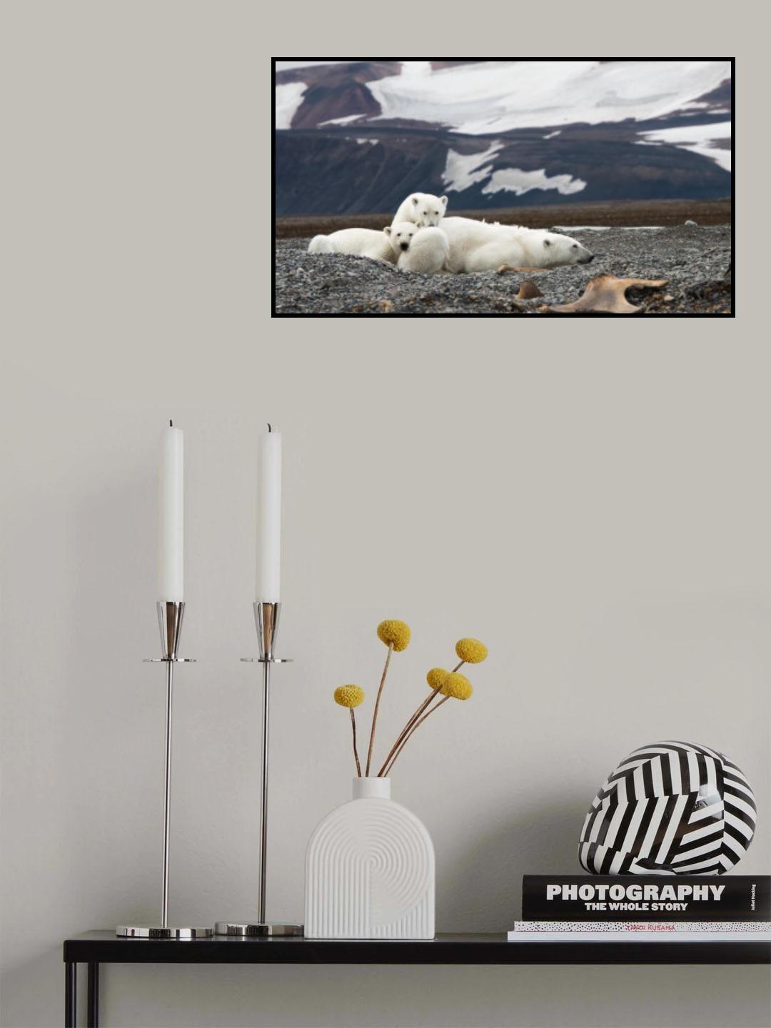 The Bear Family Poster och Canvastavla