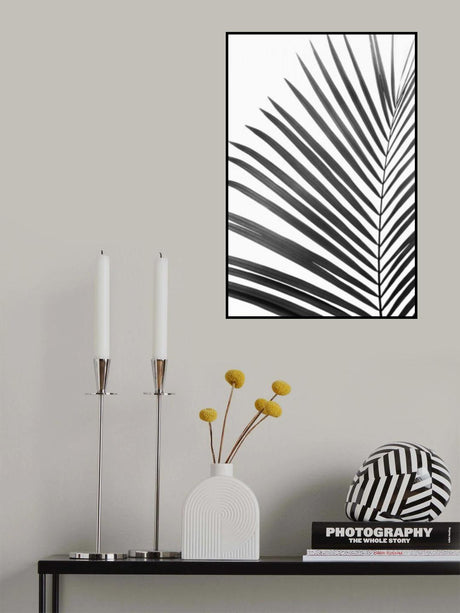 BW Palm Leaf Poster och Canvastavla