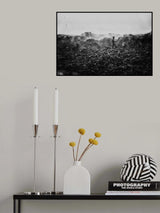 Struggle &amp; Life Poster och Canvastavla